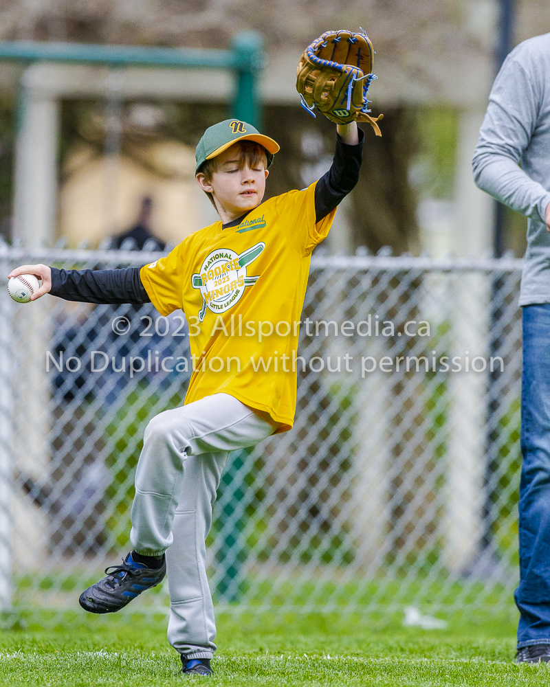 national little league baseball rookie  isn  doug hudlin erich eichhorn