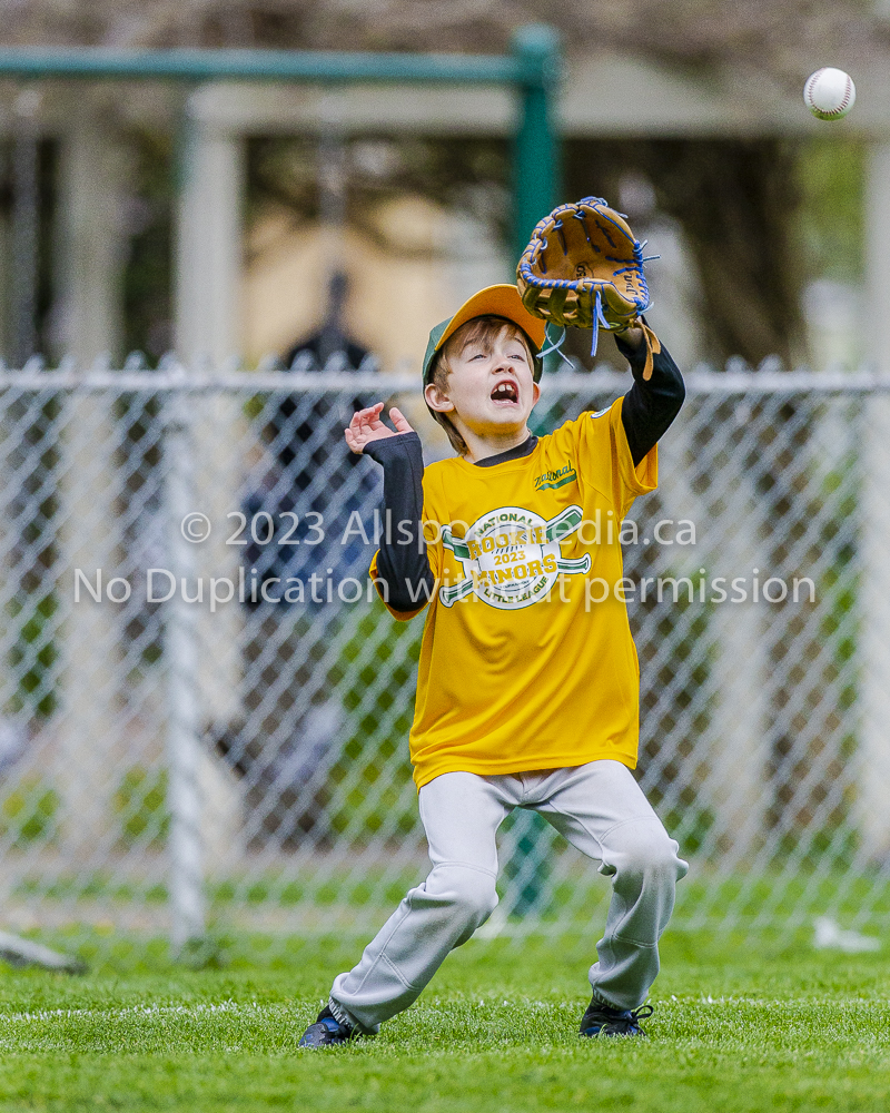 national little league baseball rookie  isn  doug hudlin erich eichhorn