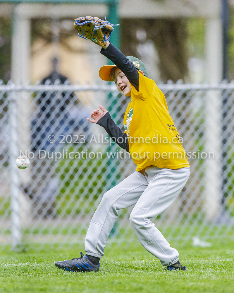 national little league baseball rookie  isn  doug hudlin erich eichhorn