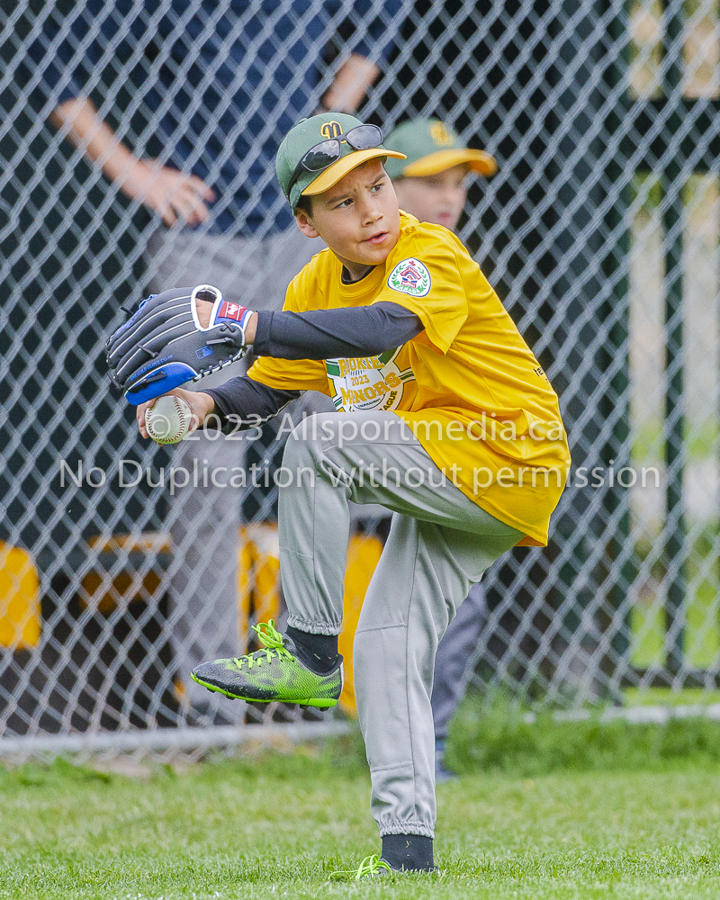 national little league baseball rookie  isn  doug hudlin erich eichhorn