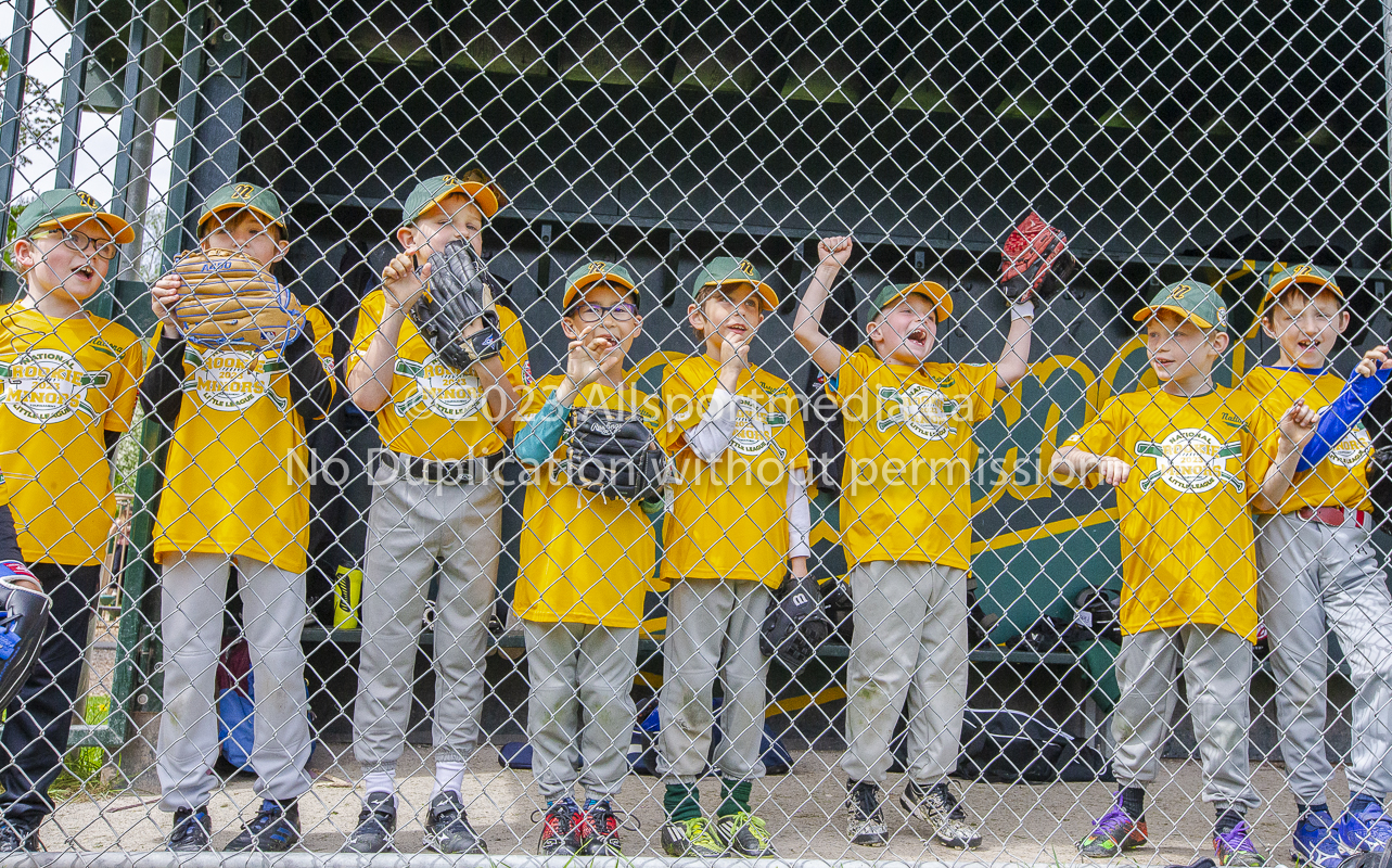 national little league baseball rookie  isn  doug hudlin erich eichhorn