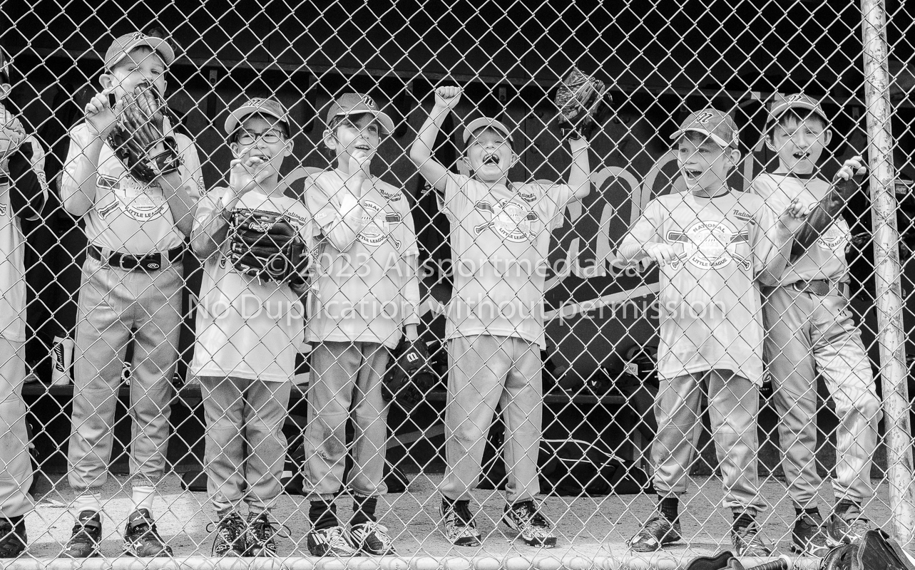 national little league baseball rookie  isn  doug hudlin erich eichhorn