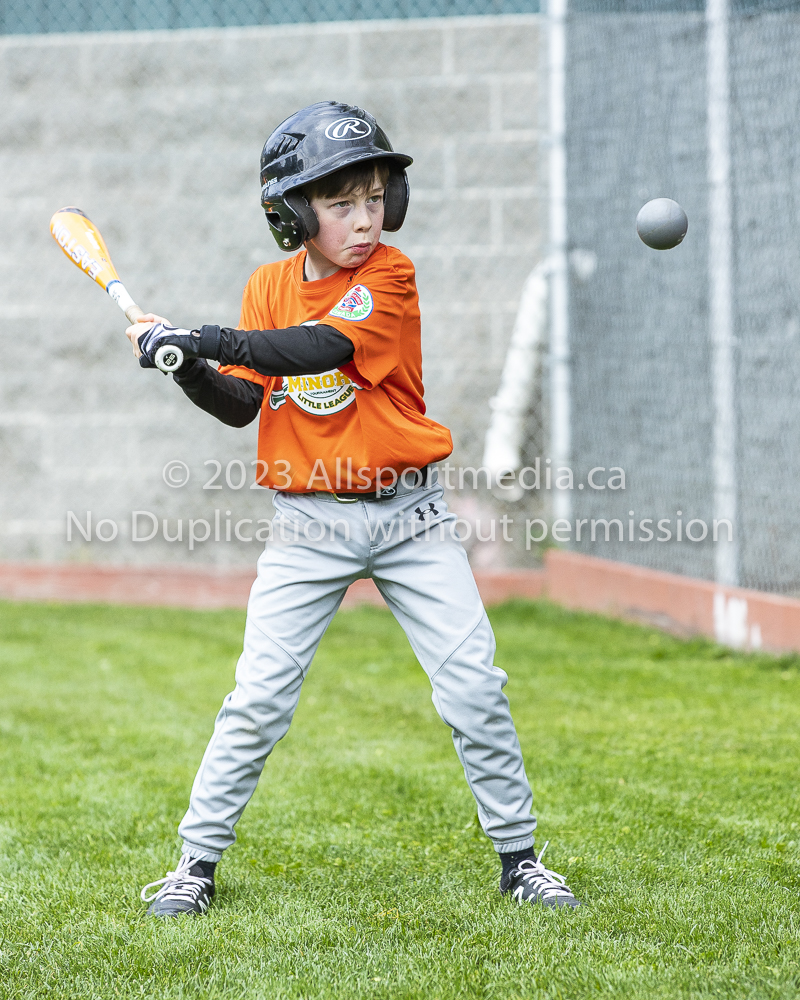 national little league baseball rookie  isn  doug hudlin erich eichhorn