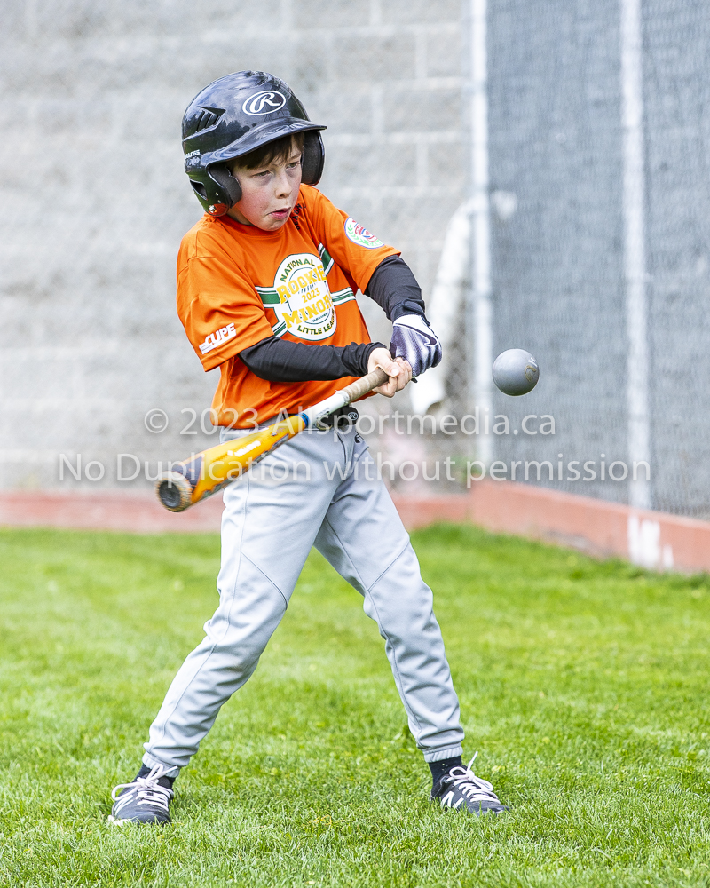 national little league baseball rookie  isn  doug hudlin erich eichhorn