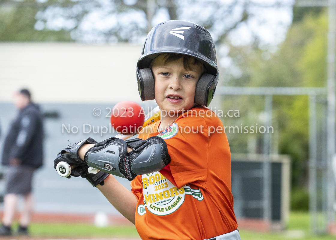 national little league baseball rookie  isn  doug hudlin erich eichhorn