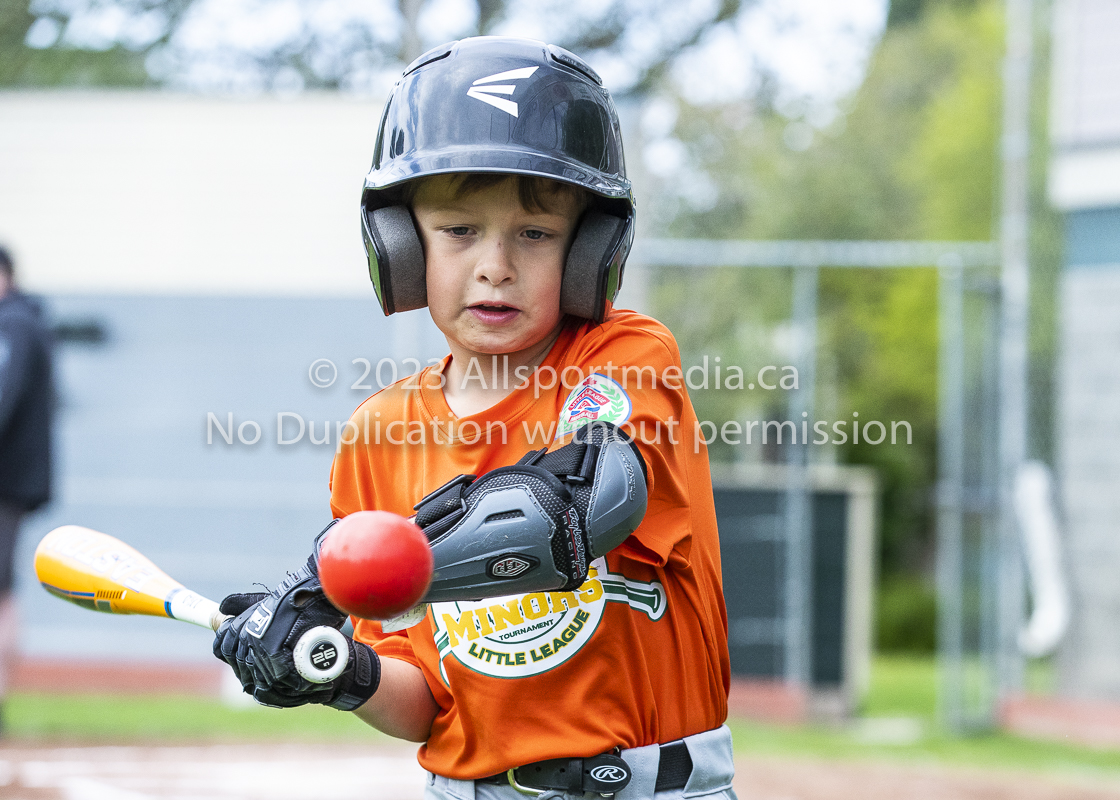 national little league baseball rookie  isn  doug hudlin erich eichhorn