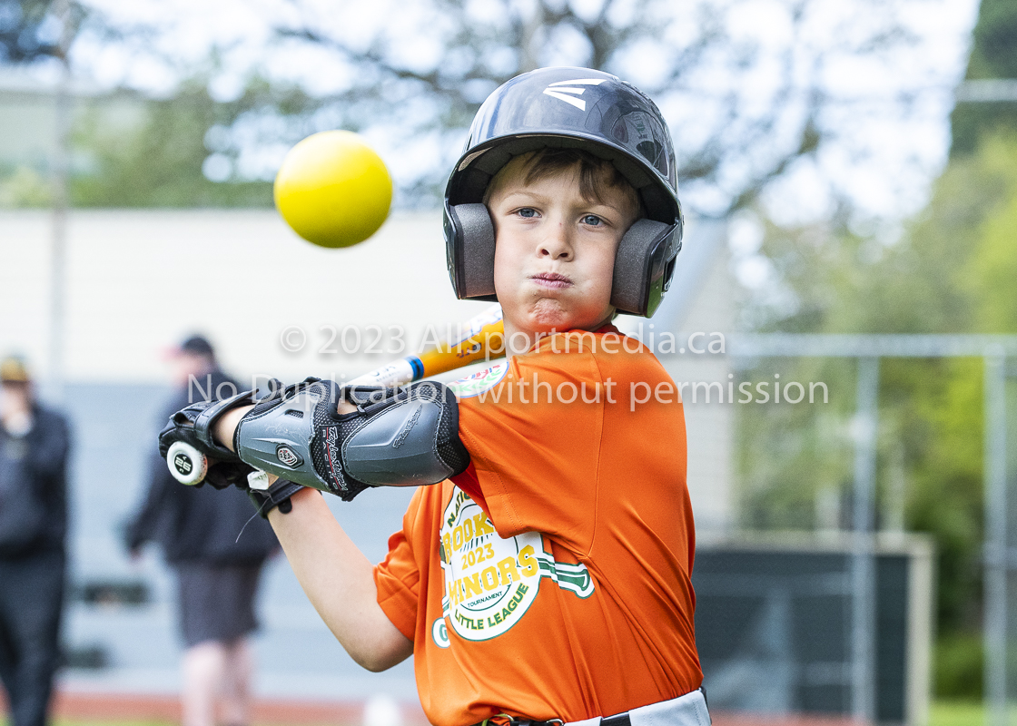 national little league baseball rookie  isn  doug hudlin erich eichhorn