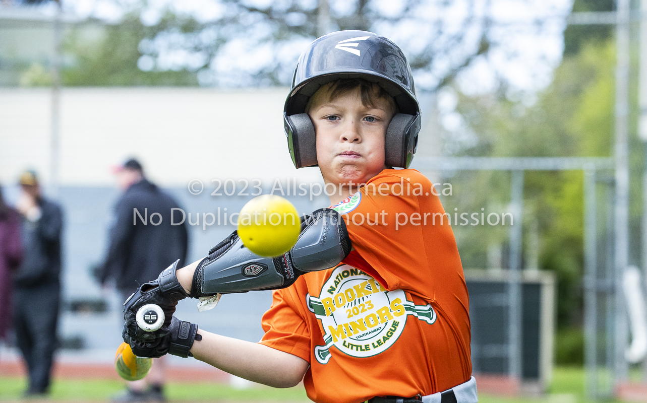 national little league baseball rookie  isn  doug hudlin erich eichhorn