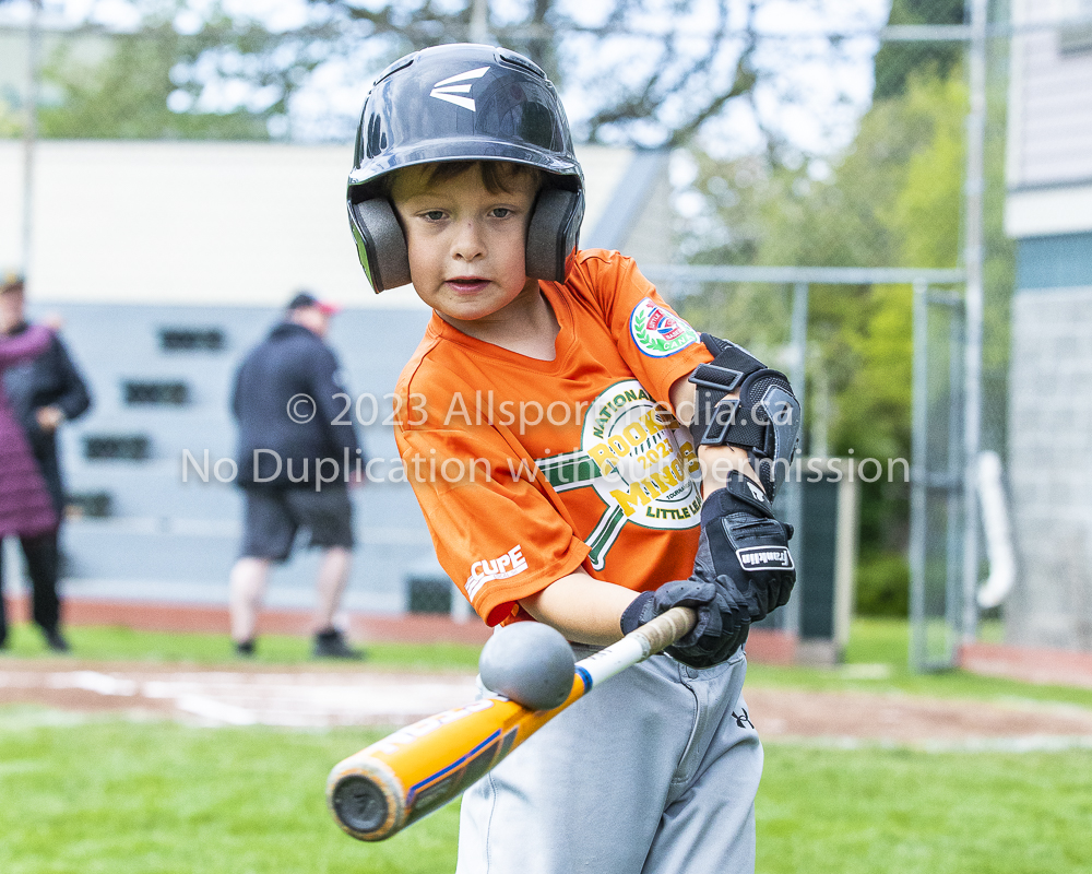 national little league baseball rookie  isn  doug hudlin erich eichhorn