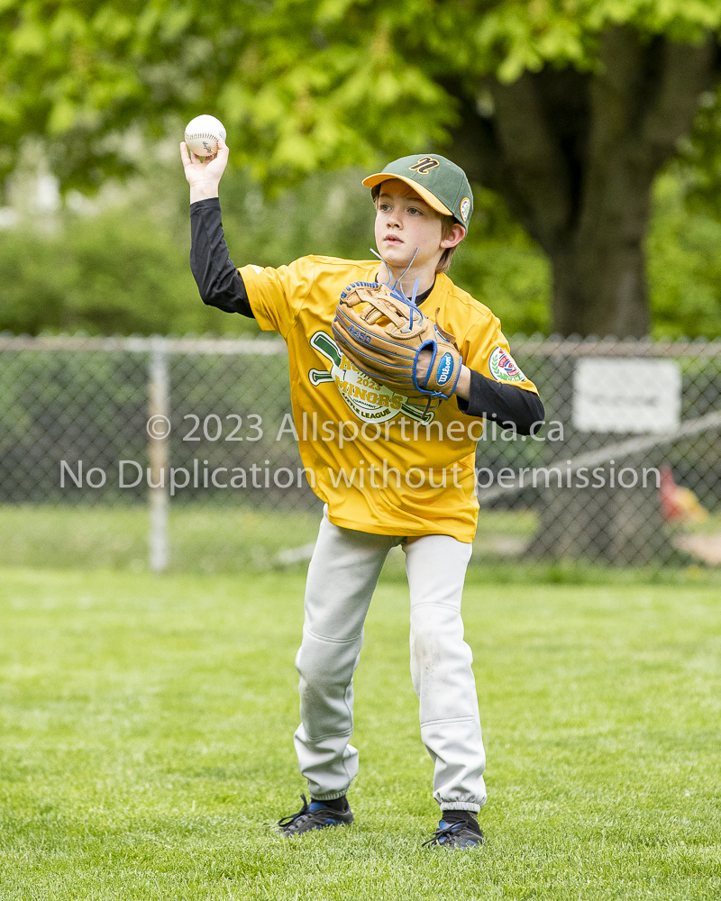 national little league baseball rookie  isn  doug hudlin erich eichhorn