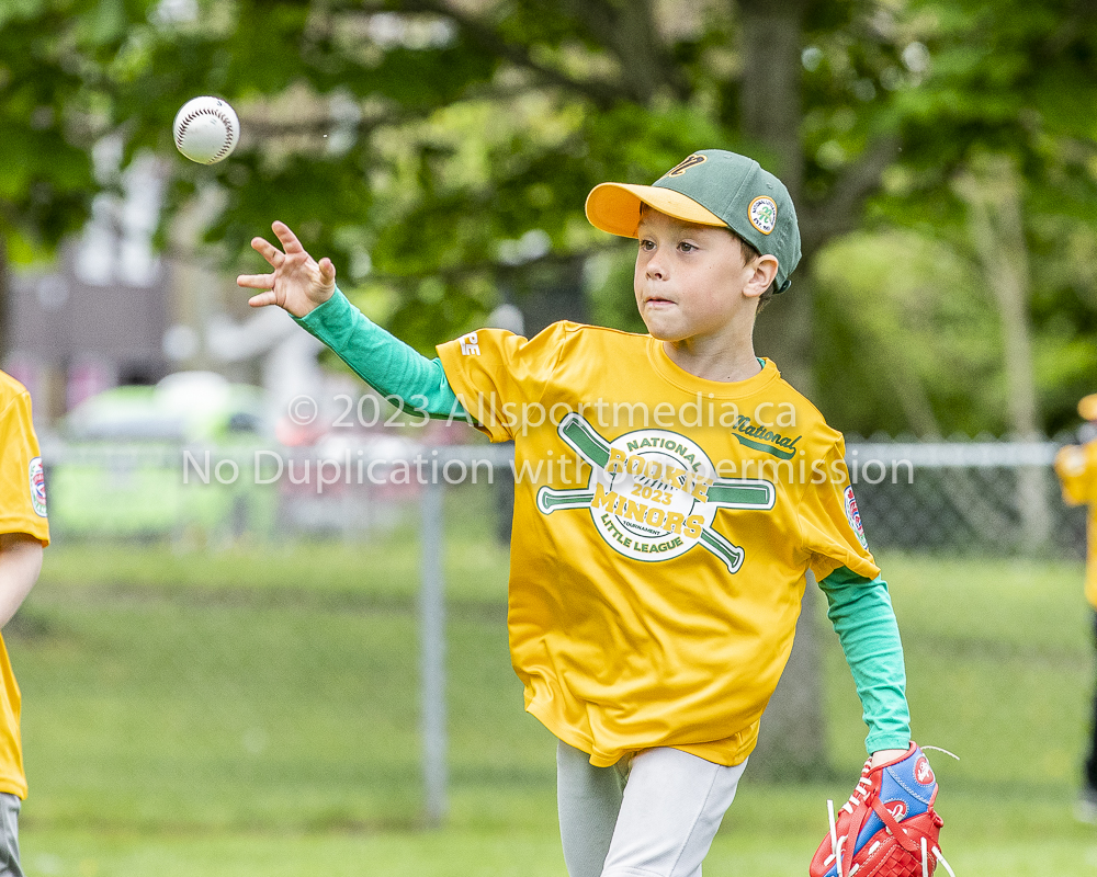 national little league baseball rookie  isn  doug hudlin erich eichhorn