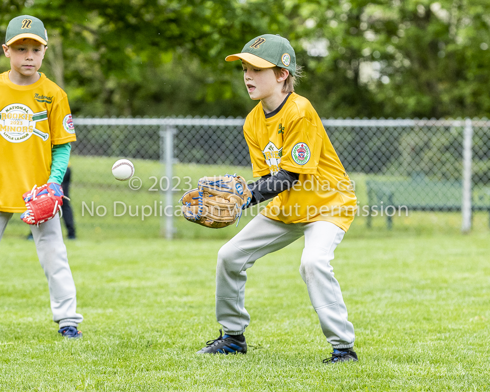 national little league baseball rookie  isn  doug hudlin erich eichhorn