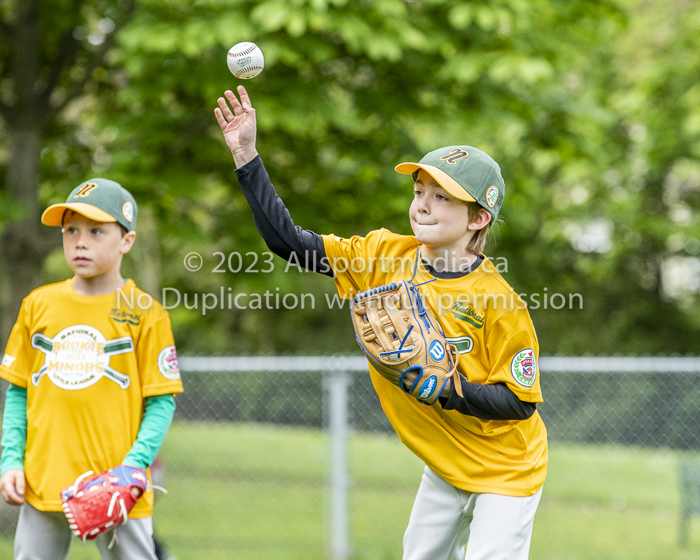 national little league baseball rookie  isn  doug hudlin erich eichhorn