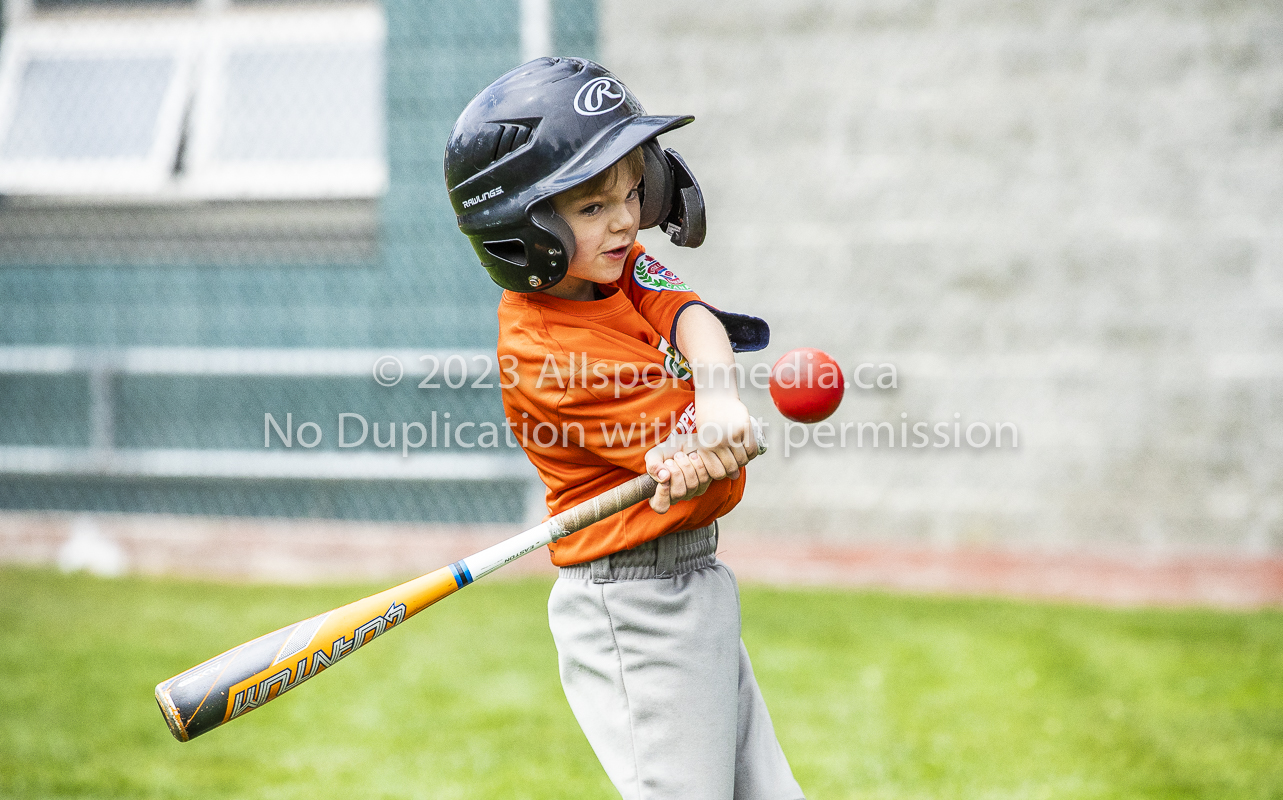 national little league baseball rookie  isn  doug hudlin erich eichhorn