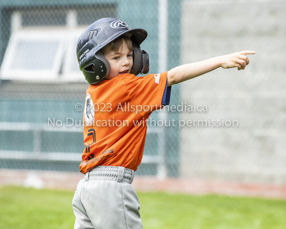 national little league baseball rookie  isn  doug hudlin erich eichhorn