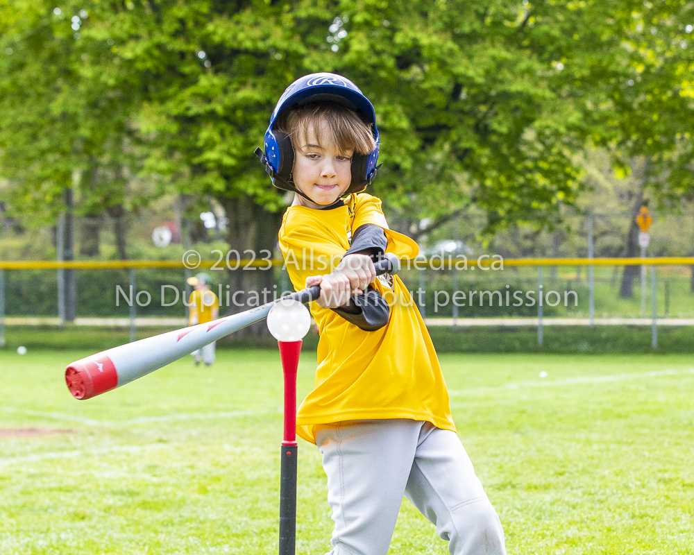 national little league baseball rookie  isn  doug hudlin erich eichhorn