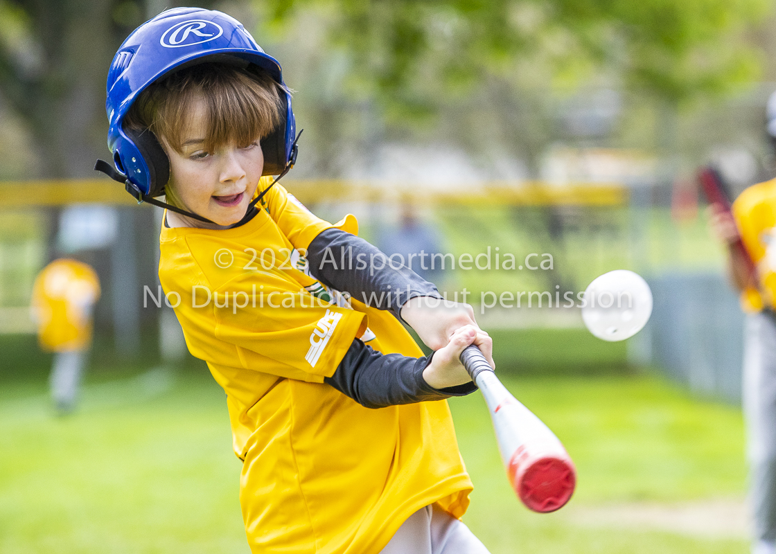 national little league baseball rookie  isn  doug hudlin erich eichhorn