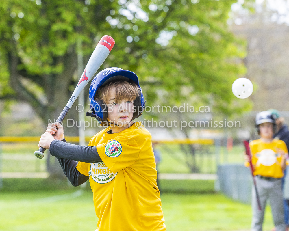 national little league baseball rookie  isn  doug hudlin erich eichhorn