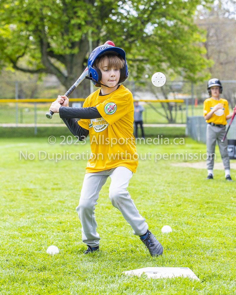 national little league baseball rookie  isn  doug hudlin erich eichhorn