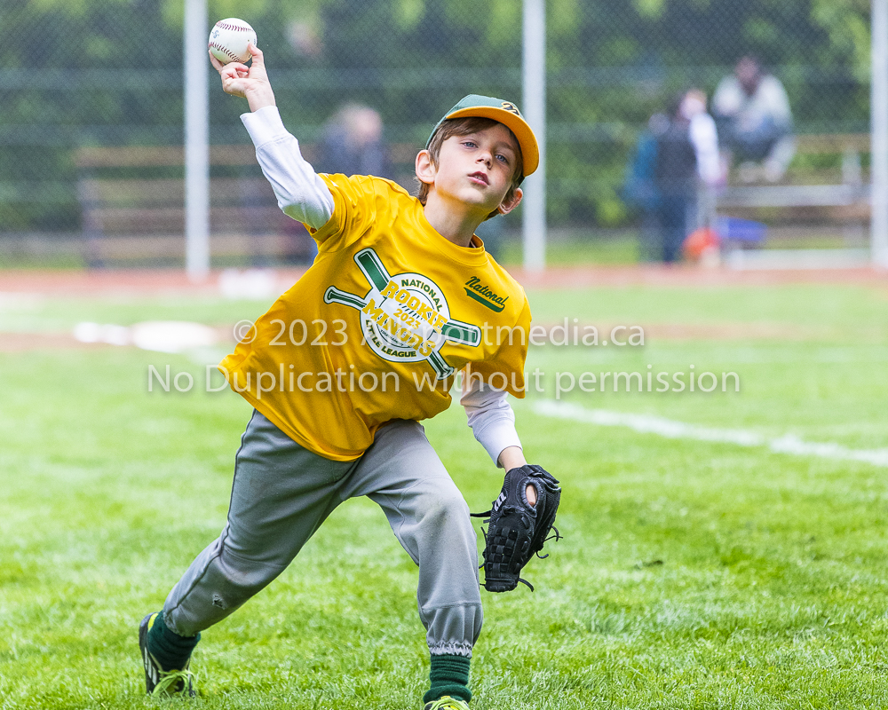 national little league baseball rookie  isn  doug hudlin erich eichhorn