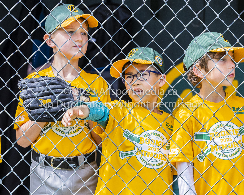 national little league baseball rookie  isn  doug hudlin erich eichhorn