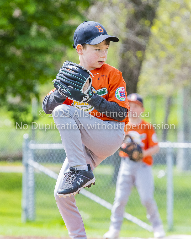 national little league baseball rookie  isn  doug hudlin erich eichhorn