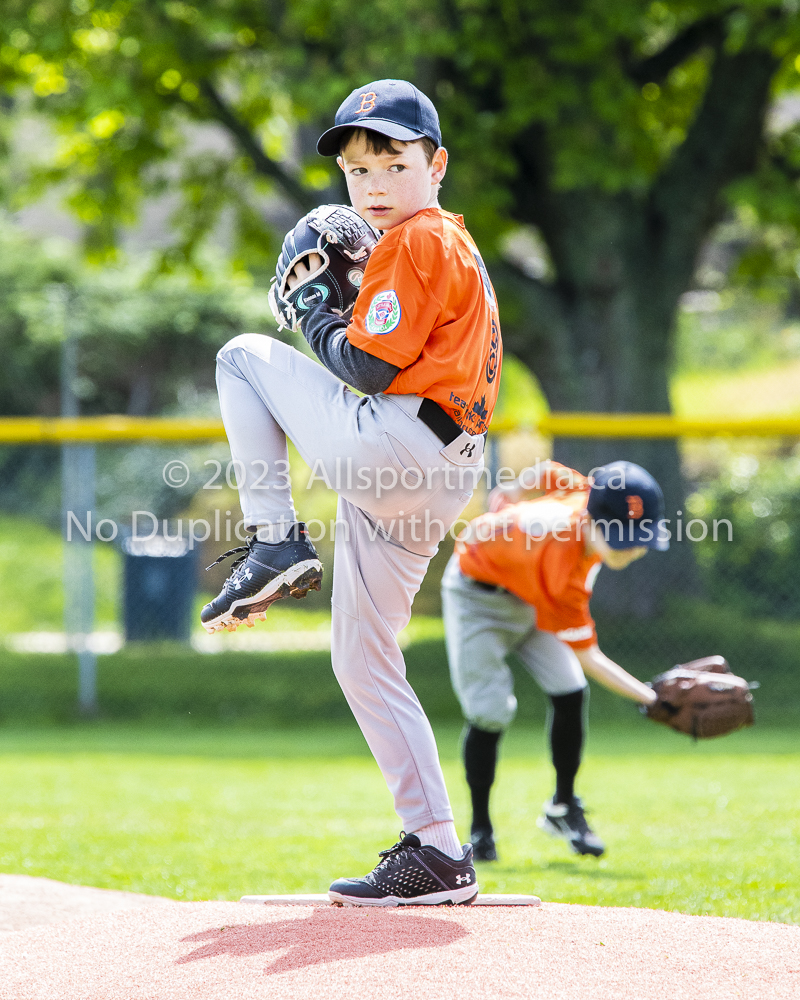 national little league baseball rookie  isn  doug hudlin erich eichhorn