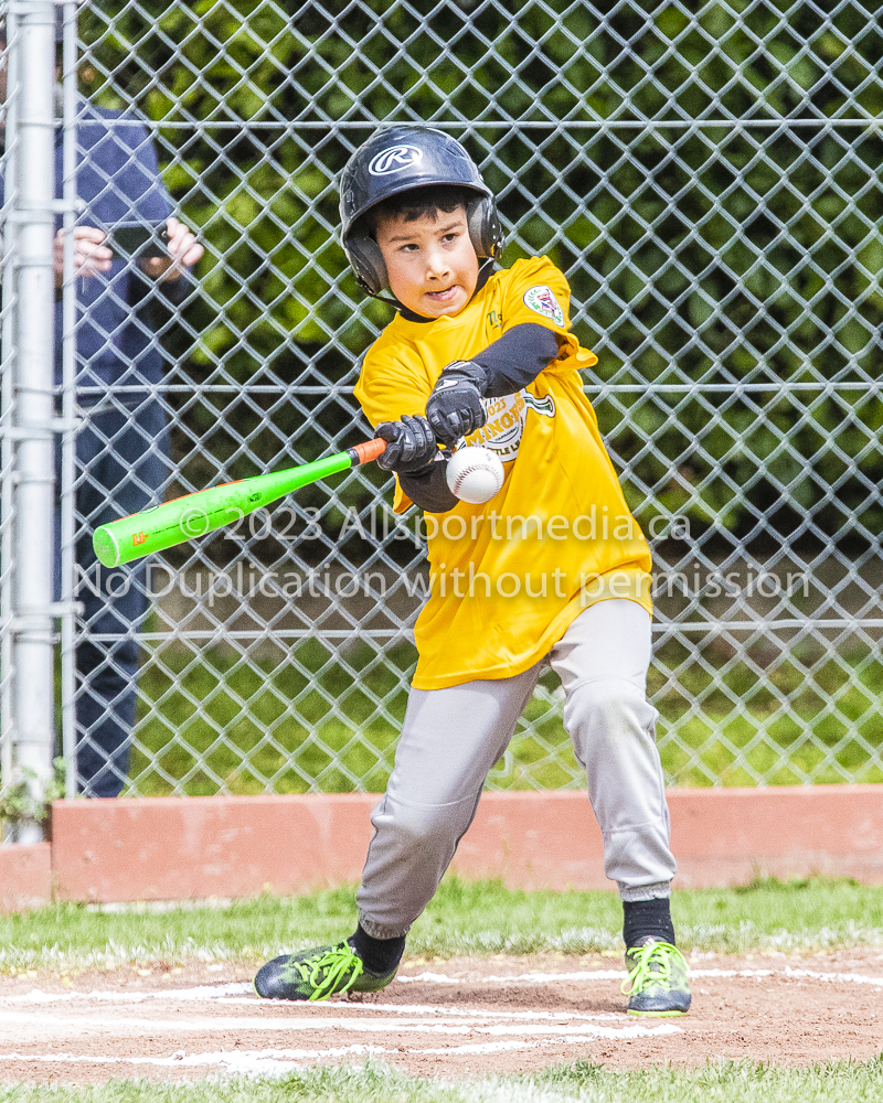 national little league baseball rookie  isn  doug hudlin erich eichhorn