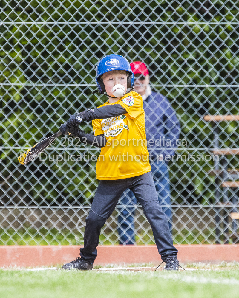 national little league baseball rookie  isn  doug hudlin erich eichhorn