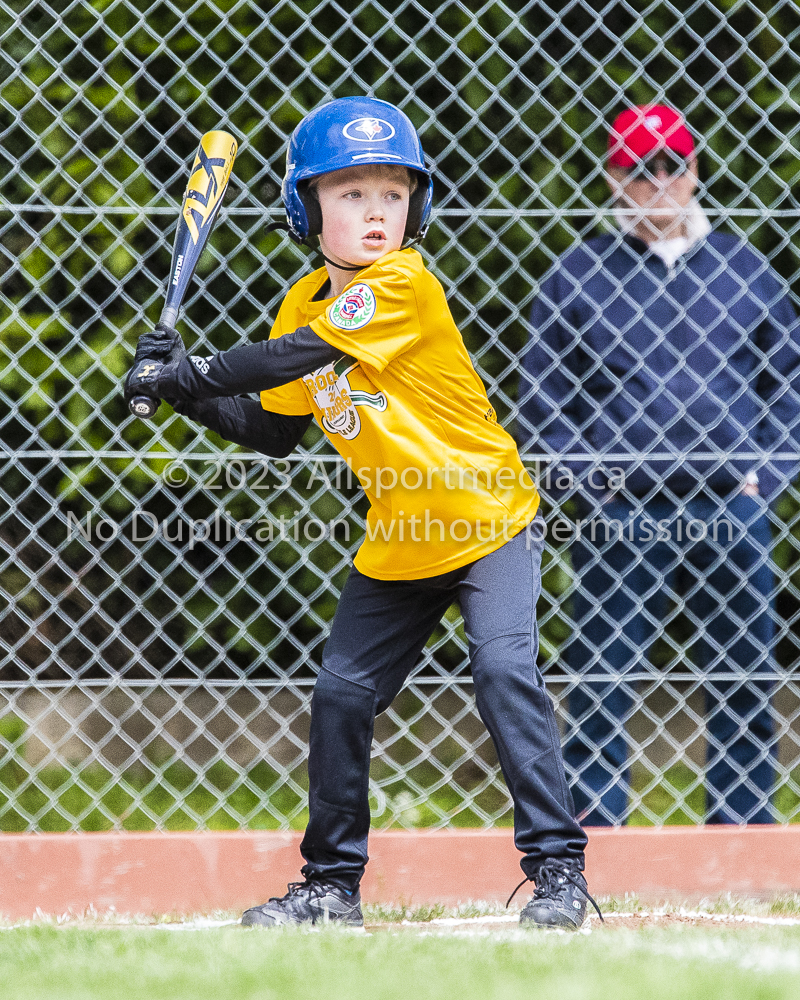 national little league baseball rookie  isn  doug hudlin erich eichhorn