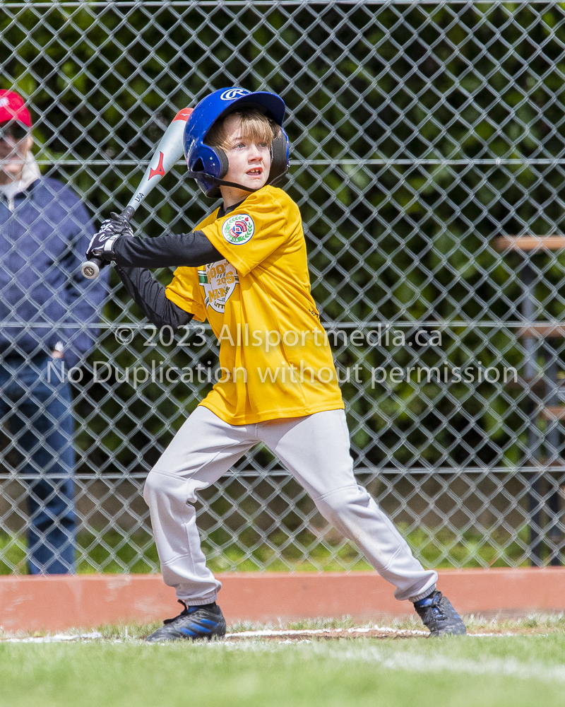 national little league baseball rookie  isn  doug hudlin erich eichhorn