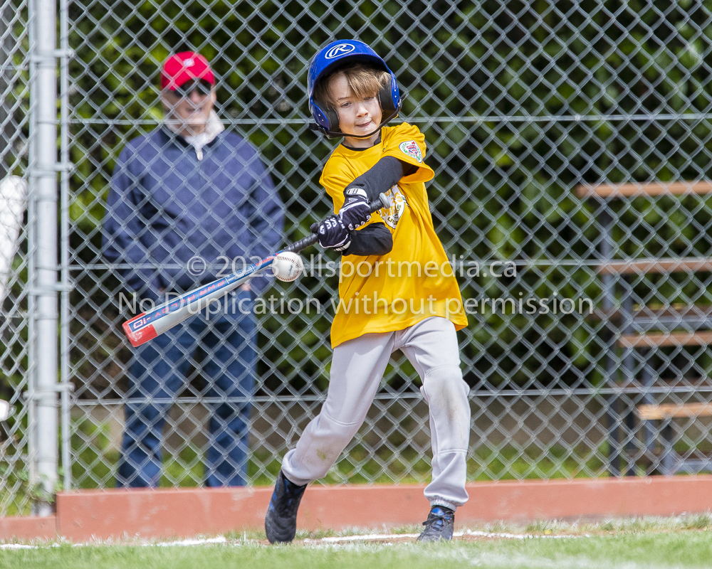 national little league baseball rookie  isn  doug hudlin erich eichhorn