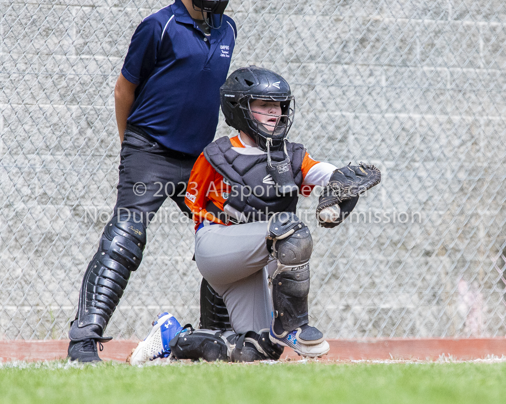 national little league baseball rookie  isn  doug hudlin erich eichhorn