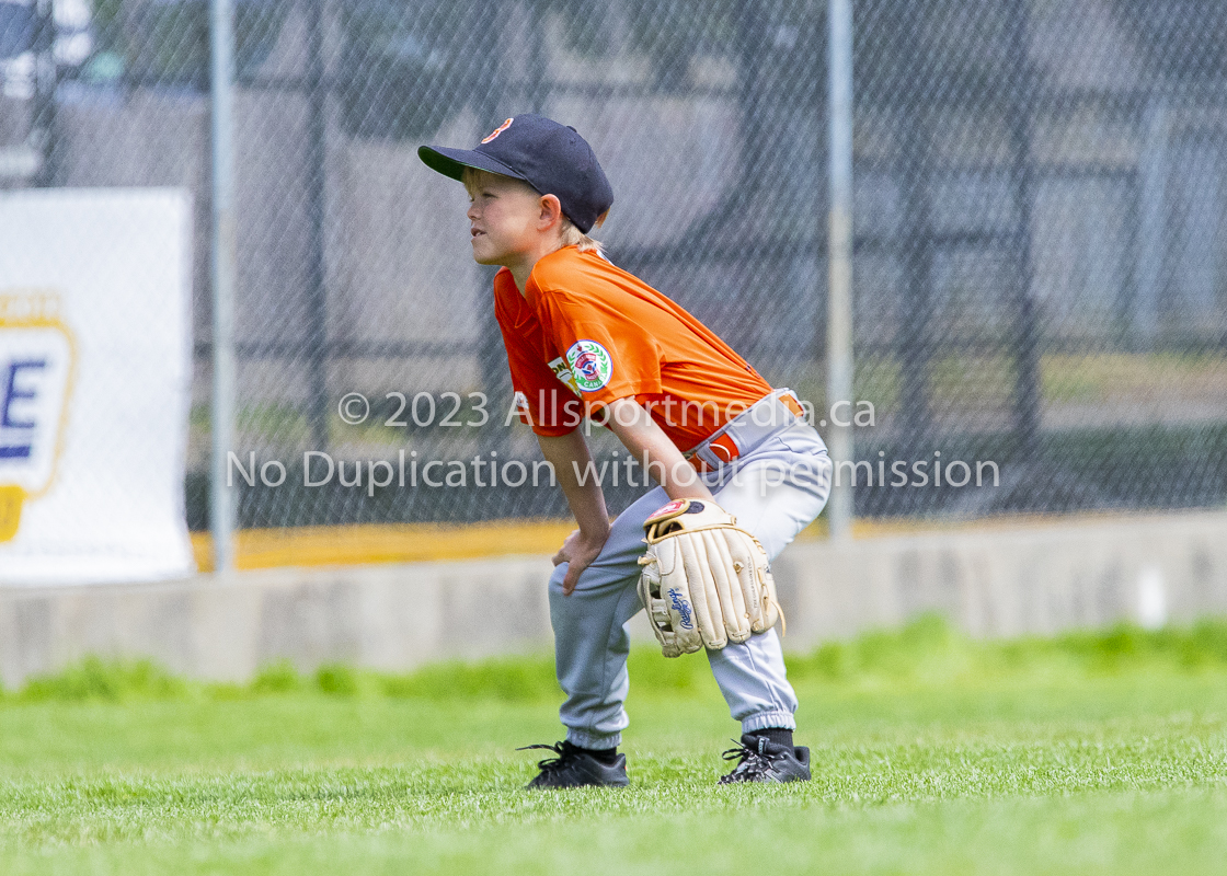 national little league baseball rookie  isn  doug hudlin erich eichhorn