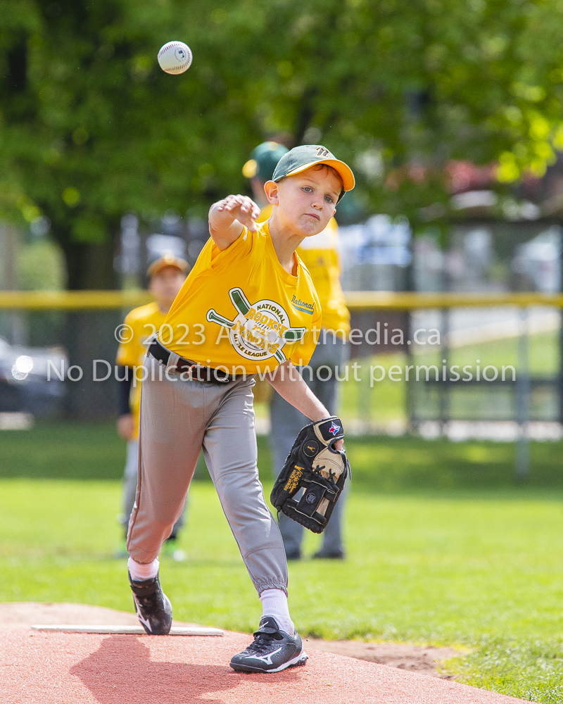 national little league baseball rookie  isn  doug hudlin erich eichhorn