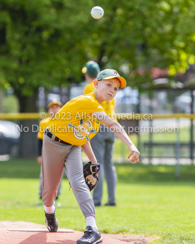 national little league baseball rookie  isn  doug hudlin erich eichhorn