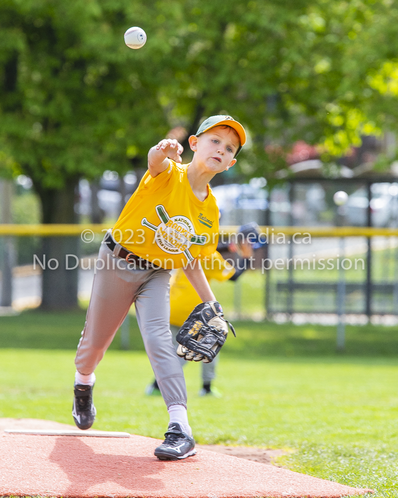 national little league baseball rookie  isn  doug hudlin erich eichhorn