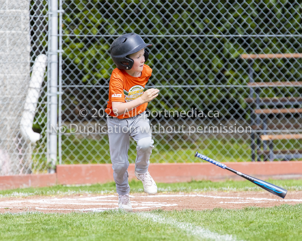 national little league baseball rookie  isn  doug hudlin erich eichhorn