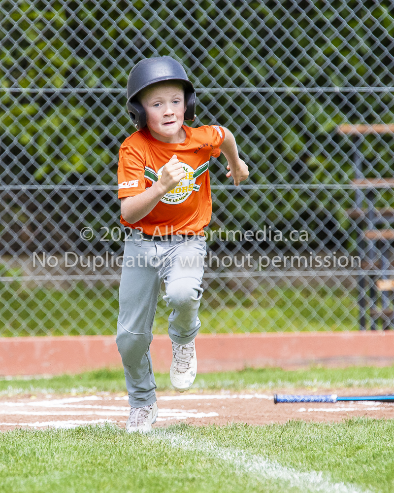 national little league baseball rookie  isn  doug hudlin erich eichhorn