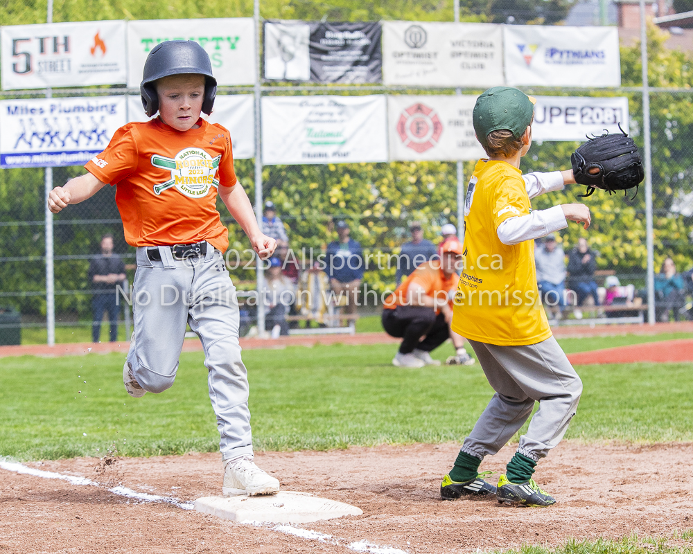 national little league baseball rookie  isn  doug hudlin erich eichhorn