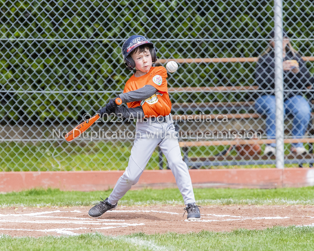 national little league baseball rookie  isn  doug hudlin erich eichhorn
