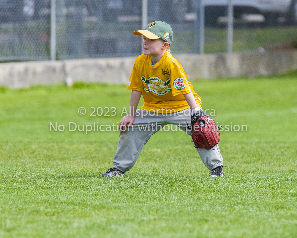 national little league baseball rookie  isn  doug hudlin erich eichhorn