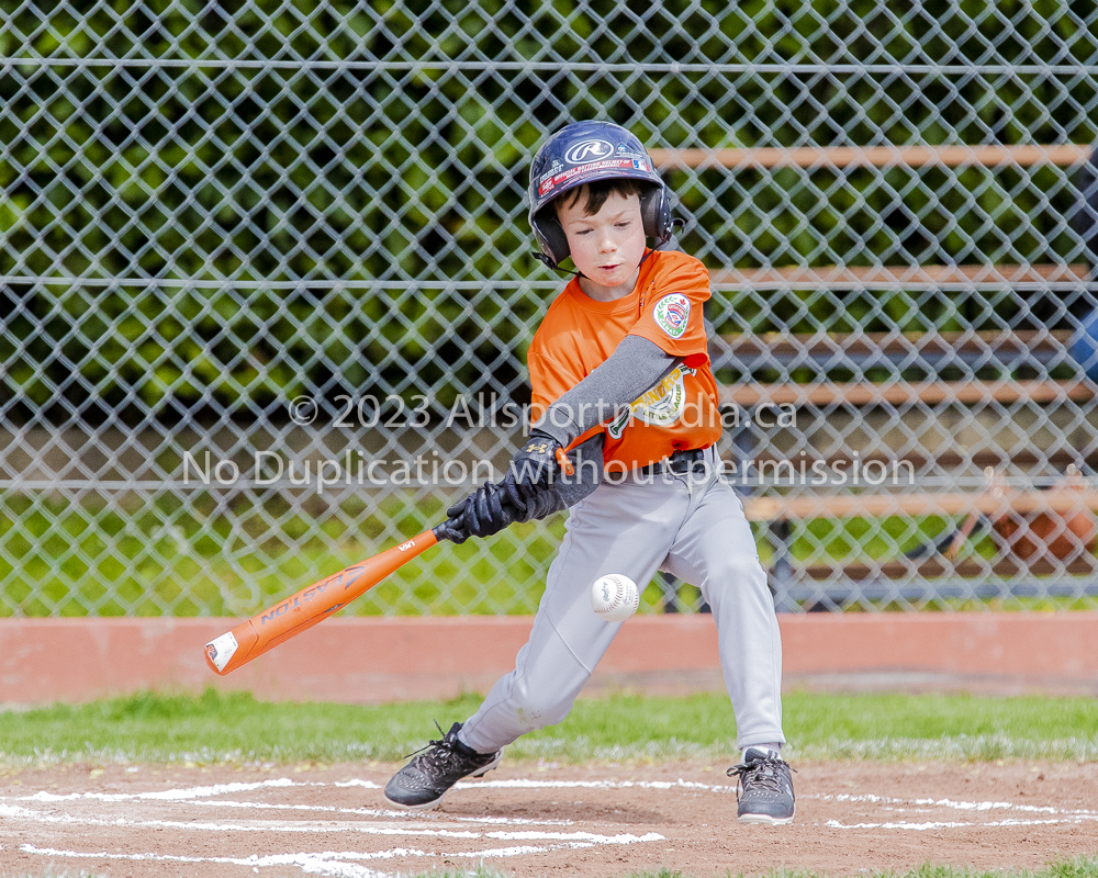 national little league baseball rookie  isn  doug hudlin erich eichhorn