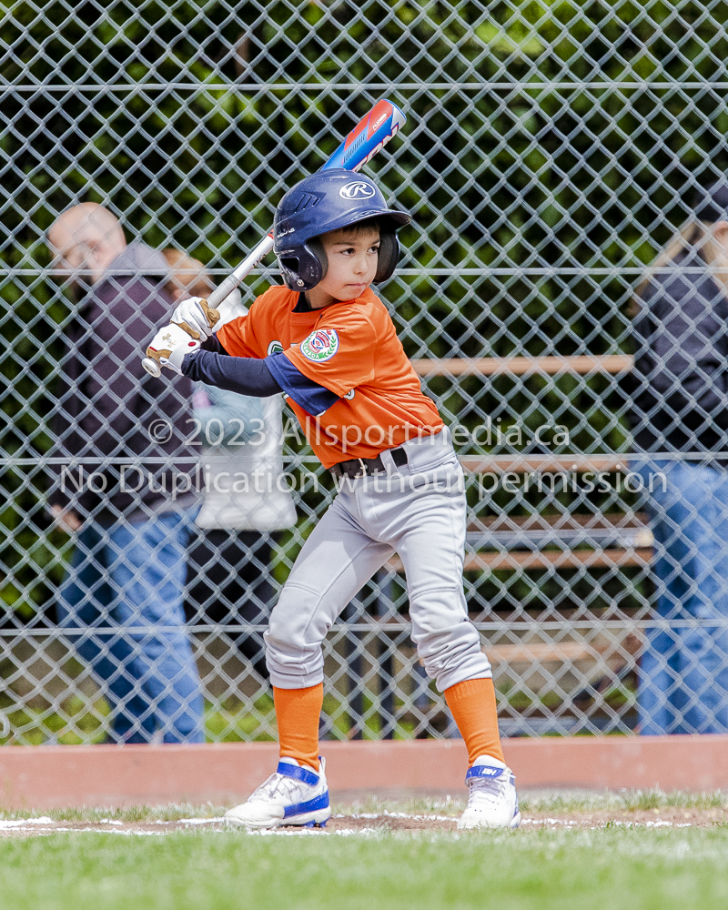 national little league baseball rookie  isn  doug hudlin erich eichhorn