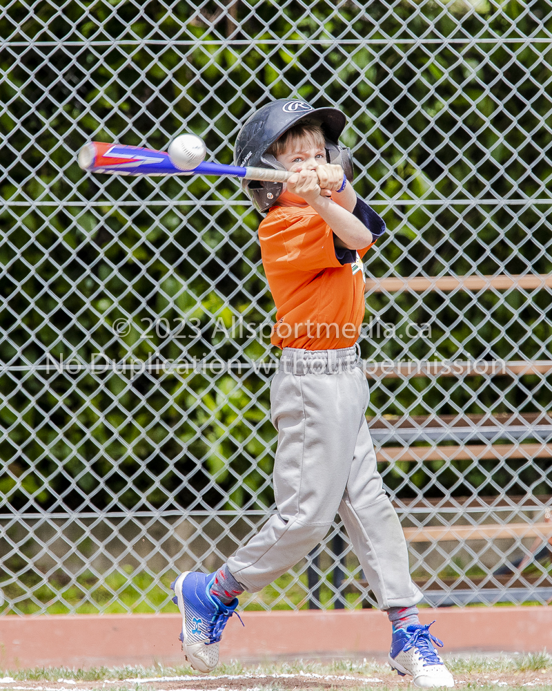 national little league baseball rookie  isn  doug hudlin erich eichhorn