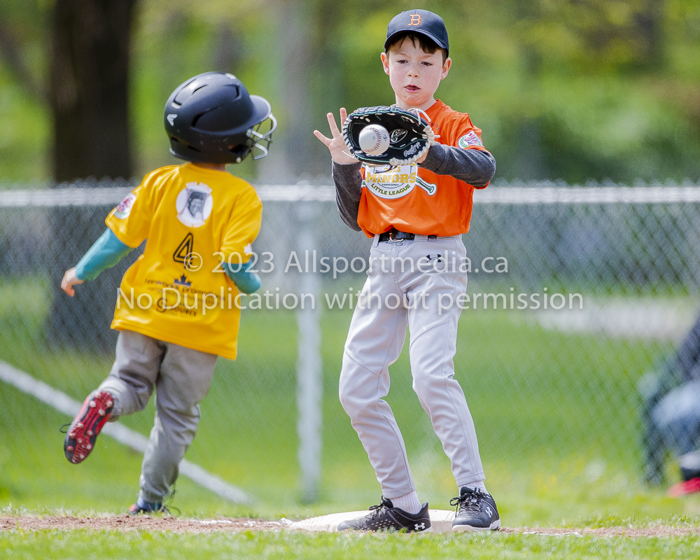 national little league baseball rookie  isn  doug hudlin erich eichhorn