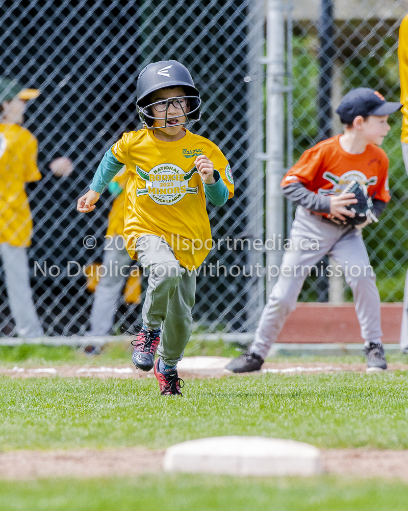 national little league baseball rookie  isn  doug hudlin erich eichhorn