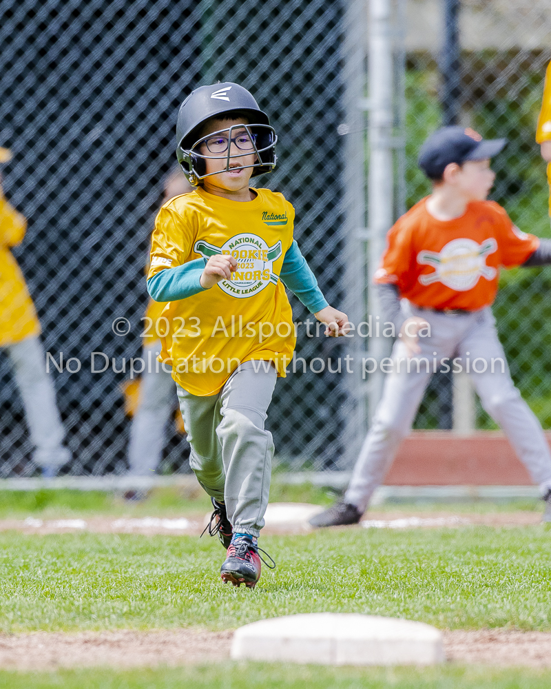 national little league baseball rookie  isn  doug hudlin erich eichhorn