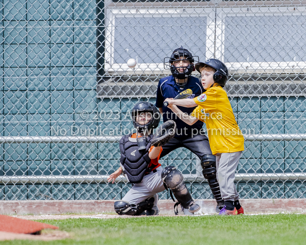 national little league baseball rookie  isn  doug hudlin erich eichhorn