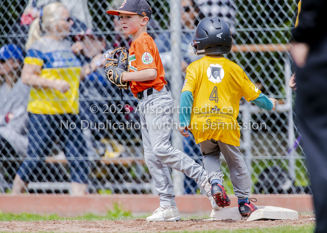 national little league baseball rookie  isn  doug hudlin erich eichhorn